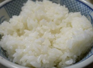 “바보와 밥보”