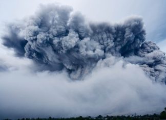 재난 당한 통아를 위한 지원 필요해