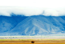 가을의 들판에서