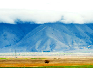 가을의 들판에서