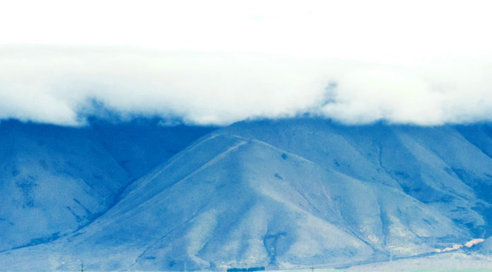 가을의 들판에서