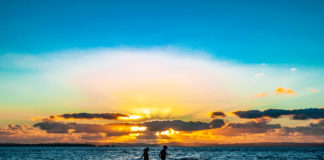 가까운 곳에서 찾는 기쁨 .2