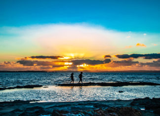가까운 곳에서 찾는 기쁨 .2