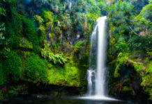 숲 속에 숨어있는 예쁜 폭포 Kaiate Falls