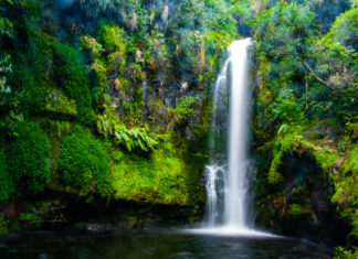 숲 속에 숨어있는 예쁜 폭포 Kaiate Falls