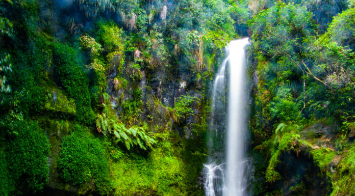 숲 속에 숨어있는 예쁜 폭포 Kaiate Falls