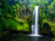 숲 속에 숨어있는 예쁜 폭포 Kaiate Falls
