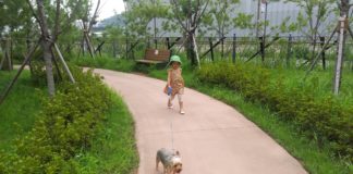 존중받은 아이는 1%가 다르다