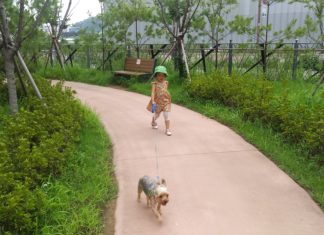 존중받은 아이는 1%가 다르다