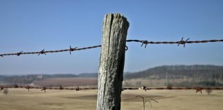 러시아 및 중앙아시아 선교 상황을 통해본 북한 선교전략