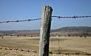 러시아 및 중앙아시아 선교 상황을 통해본 북한 선교전략