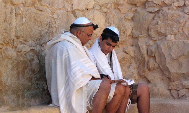 하브루타의 4ways 7steps 원리 이해