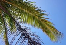 4월 셋째 주 찬송/4월 넷째 주 찬송