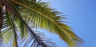 4월 셋째 주 찬송/4월 넷째 주 찬송