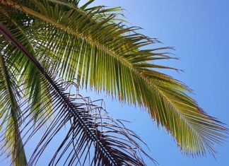 4월 셋째 주 찬송/4월 넷째 주 찬송