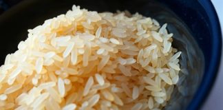 “북한 주민들에게 일용할 양식을 공급하여 주시기를”