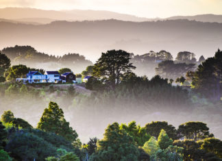 물안개 핀 동산에서