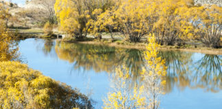 깊은 산 작은 연못