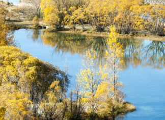 깊은 산 작은 연못