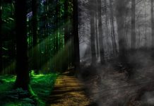 죽음의 철학? 삶의 지혜?