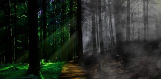 죽음의 철학? 삶의 지혜?