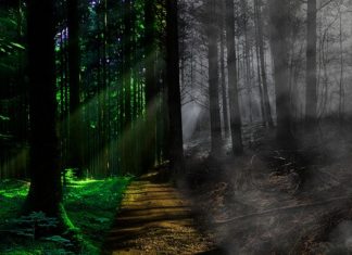 죽음의 철학? 삶의 지혜?