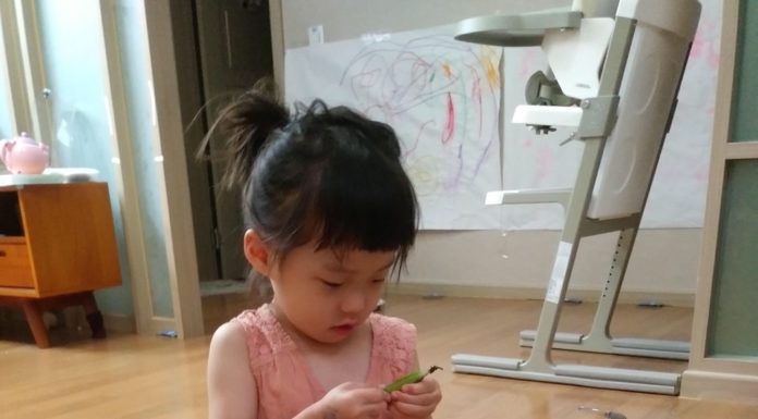 스스로 판단하고 책임지게 하라