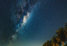 팜트리 늘어선 南國의 밤하늘