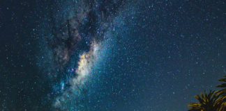 팜트리 늘어선 南國의 밤하늘