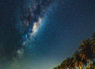 팜트리 늘어선 南國의 밤하늘