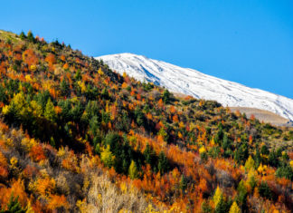 가을과 겨울의 공존