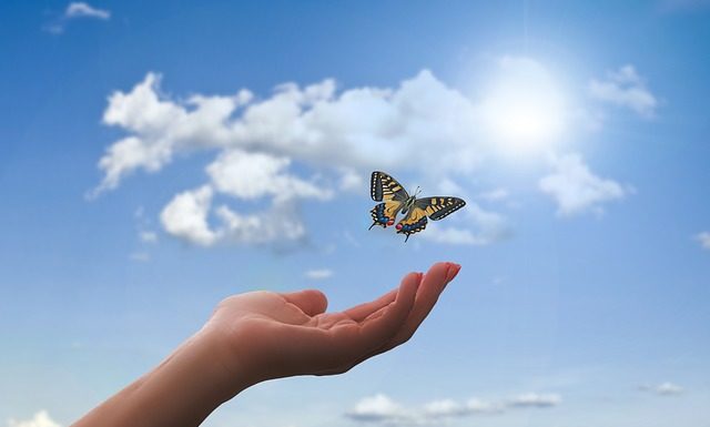 호접지몽(胡蝶之夢)