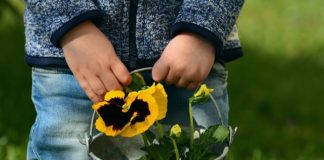 회피성 성격장애와 상담접근