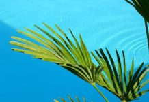 6월 넷째 주 찬송/7월 첫째 주 찬송