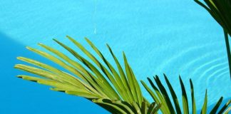 6월 넷째 주 찬송/7월 첫째 주 찬송