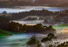 Whitford Valley의 아침 안개