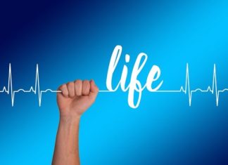 마음이 붙잡고 있는 것은