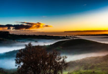 운해를 이루는 아침 안개 경