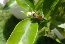 다윗과 요나단처럼