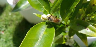 다윗과 요나단처럼