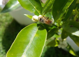 다윗과 요나단처럼