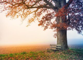 명의 운행(命之行) – 부득이(不得已)