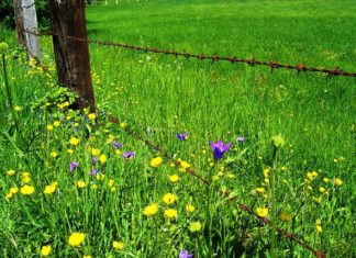 북한지역 일대 선교 역사-서구 개신교 선교사의 활동