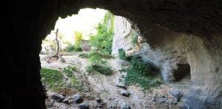 8월 셋째 주 찬송/8월 넷째 주 찬송