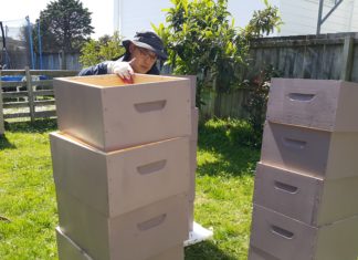 180만 대군을 거느리다