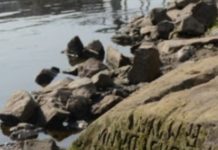 ‘날 보면 울어라’