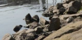 ‘날 보면 울어라’