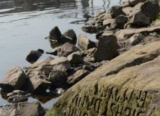 ‘날 보면 울어라’