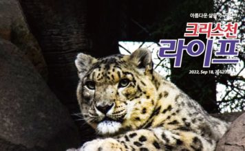 439호 라이프