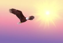 9월 첫째 주 찬송/9월 둘째 주 찬송